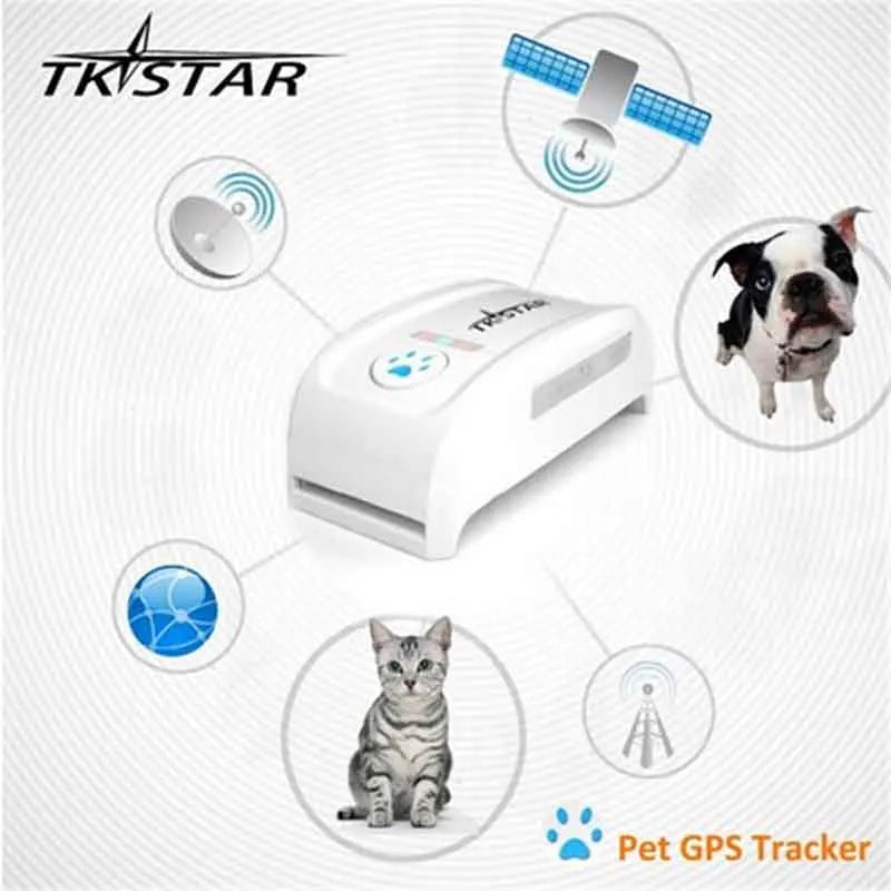 Mini GPS Pet Tracker with Collar – Real-Time Location Tracking for Dogs & Cats