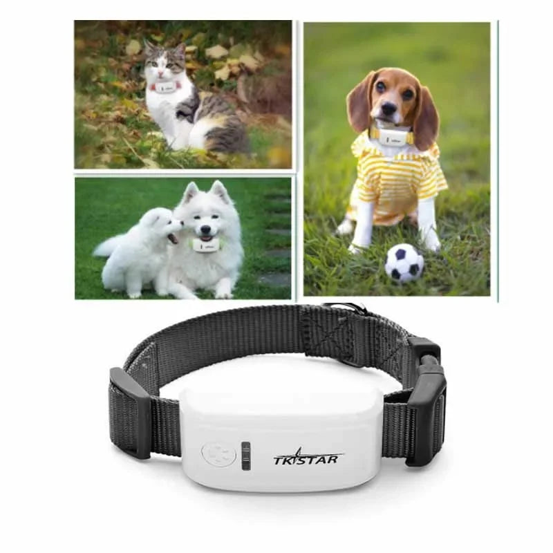 Mini GPS Pet Tracker with Collar – Real-Time Location Tracking for Dogs & Cats