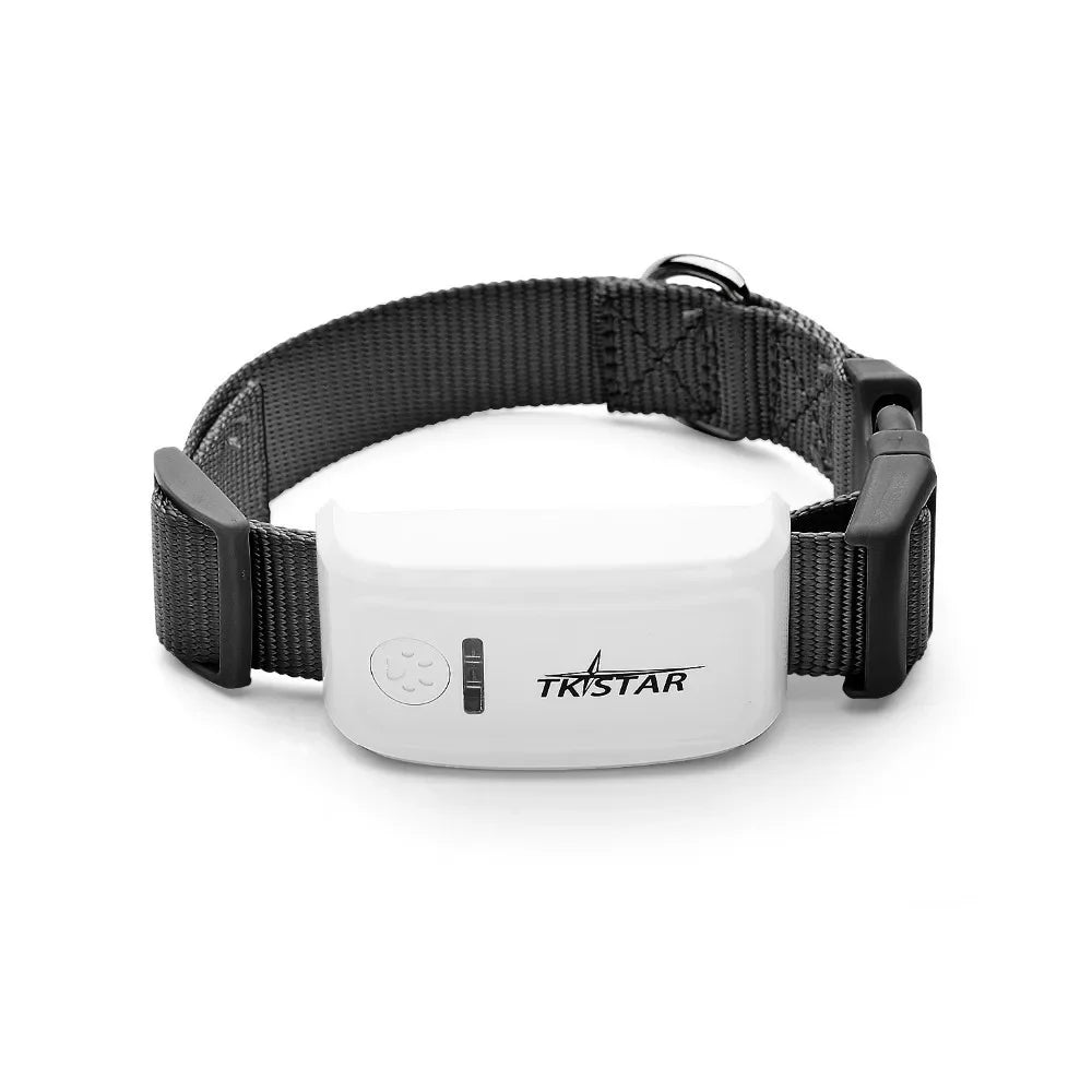 Mini GPS Pet Tracker with Collar – Real-Time Location Tracking for Dogs & Cats