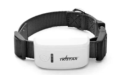 Mini GPS Pet Tracker with Collar – Real-Time Location Tracking for Dogs & Cats